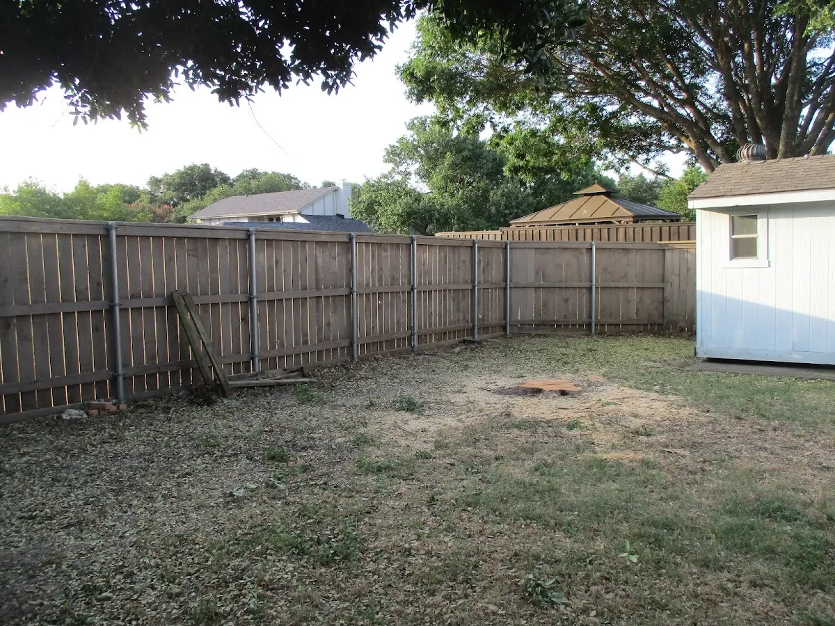 Cleared yard after professional tree removal in Glen Wild